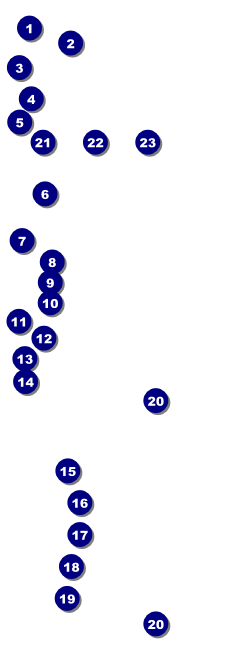 St. Patrick's Day Shamrock Raffle Ticket Front Field Markers
