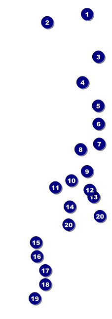 World Food Festival Raffle Ticket Front Field Markers