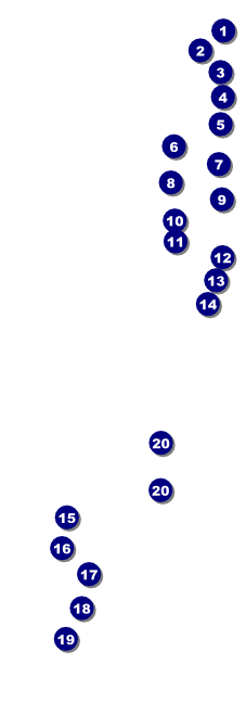 Phoenix Raffle Ticket Front Field Markers