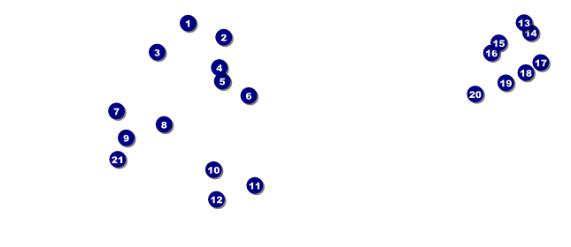 California VIP Pass (Blue and Salmon) Front Field Markers