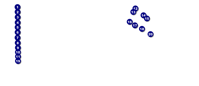 California VIP Pass (Pink and Yellow) Front Field Markers