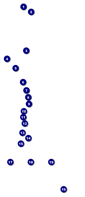 Hawaii VIP Pass Front Field Markers