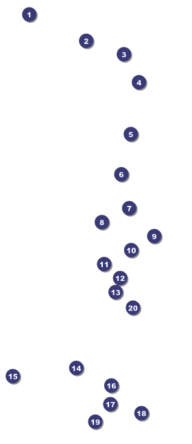Ride VIP Pass Front Field Markers
