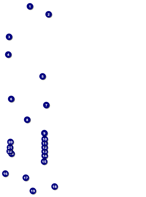 Animal Print Flyer Front Field Markers