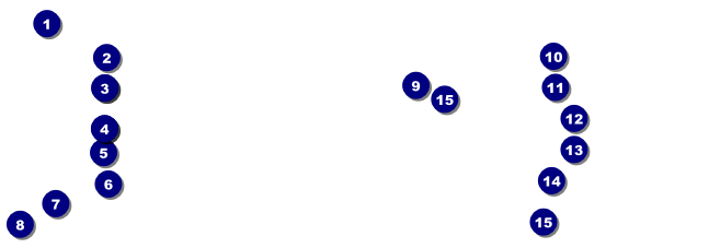 Auto Racing Raffle Ticket Front Field Markers