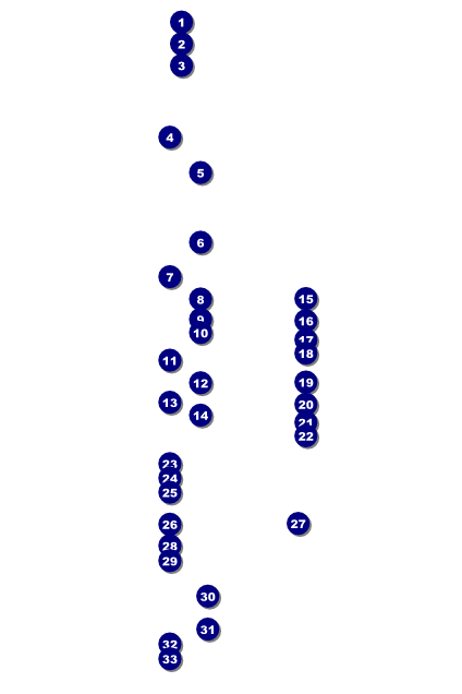 Black History Month Poster Front Field Markers