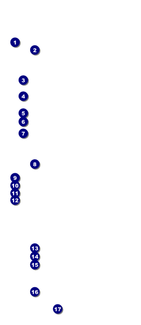 Animal Print Giraffe VIP Pass Front Field Markers