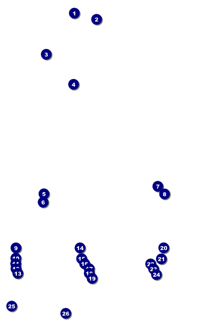 Magic Show Poster Front Field Markers