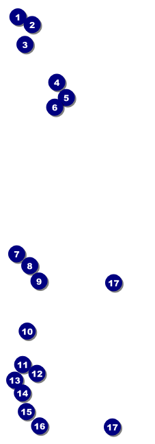 High Tea Event Ticket Front Field Markers