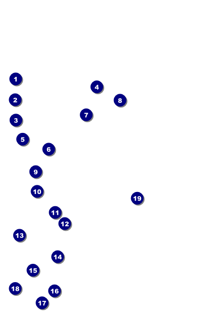 Lacrosse Stick Drink Ticket Front Field Markers